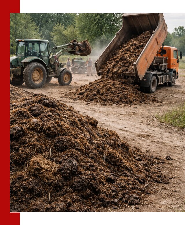 Доставка навоза самосвалами в Коврове для сельхозпотребностей